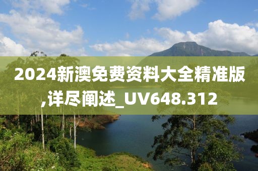 2024新澳免费资料大全精准版,详尽阐述_UV648.312
