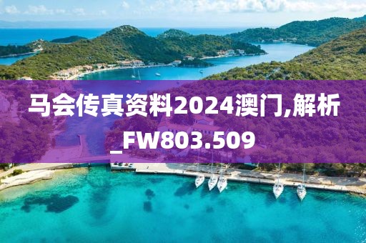 马会传真资料2024澳门,解析_FW803.509
