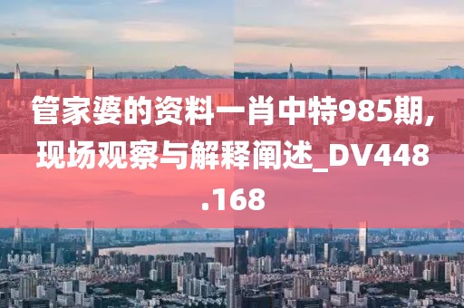 管家婆的资料一肖中特985期,现场观察与解释阐述_DV448.168