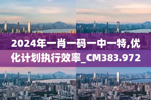 2024年一肖一码一中一特,优化计划执行效率_CM383.972