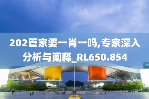202管家婆一肖一吗,专家深入分析与阐释_RL650.854