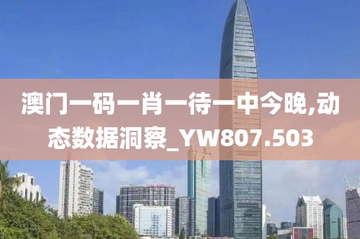 澳门一码一肖一待一中今晚,动态数据洞察_YW807.503