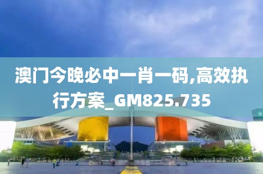 澳门今晚必中一肖一码,高效执行方案_GM825.735