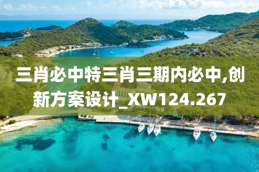三肖必中特三肖三期内必中,创新方案设计_XW124.267