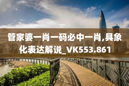 管家婆一肖一码必中一肖,具象化表达解说_VK553.861