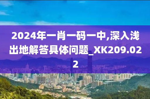 2024年一肖一码一中,深入浅出地解答具体问题_XK209.022