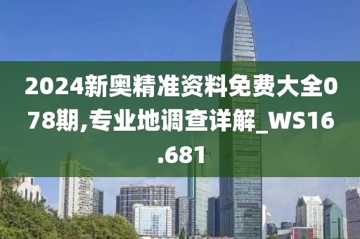 2024新奥精准资料免费大全078期,专业地调查详解_WS16.681