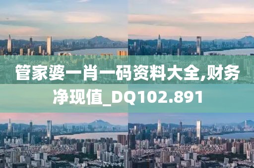 管家婆一肖一码资料大全,财务净现值_DQ102.891