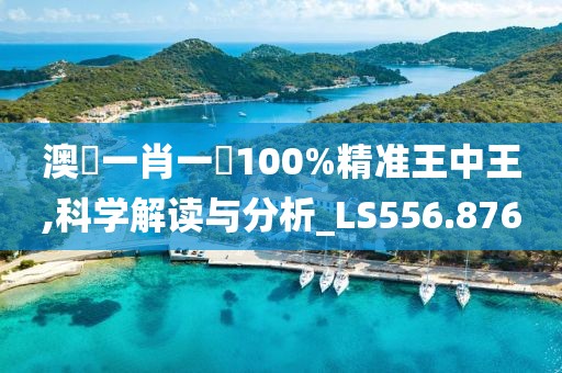 澳門一肖一碼100%精准王中王,科学解读与分析_LS556.876