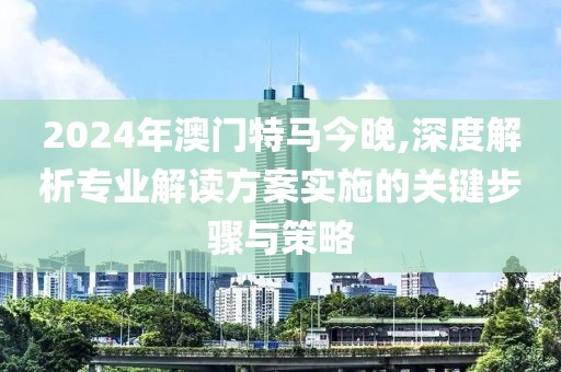 2024年澳门特马今晚,深度解析专业解读方案实施的关键步骤与策略