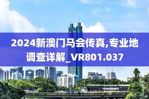 2024新澳门马会传真,专业地调查详解_VR801.037