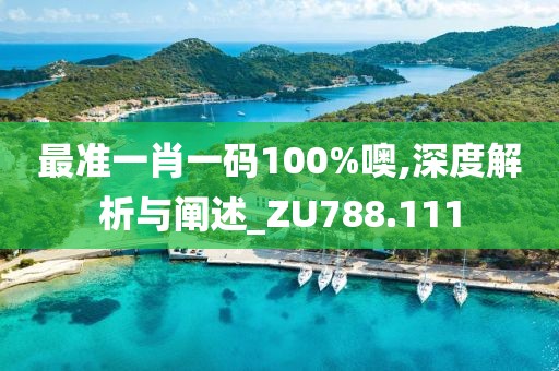 最准一肖一码100%噢,深度解析与阐述_ZU788.111