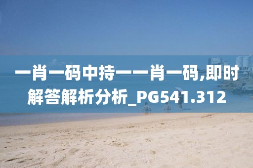 一肖一码中持一一肖一码,即时解答解析分析_PG541.312