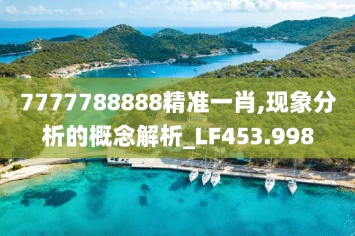7777788888精准一肖,现象分析的概念解析_LF453.998