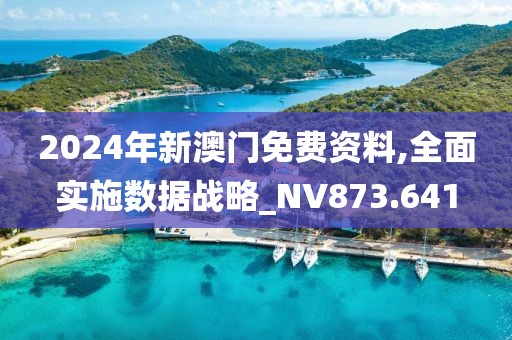2024年新澳门免费资料,全面实施数据战略_NV873.641