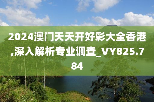 2024澳门天天开好彩大全香港,深入解析专业调查_VY825.784