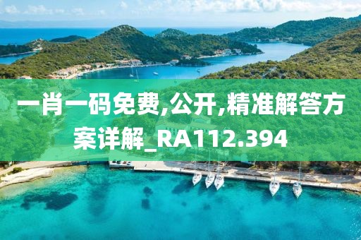 一肖一码免费,公开,精准解答方案详解_RA112.394