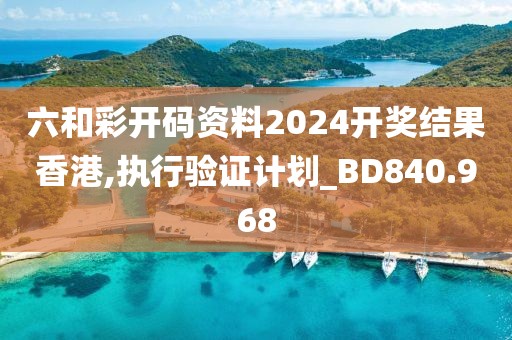 六和彩开码资料2024开奖结果香港,执行验证计划_BD840.968