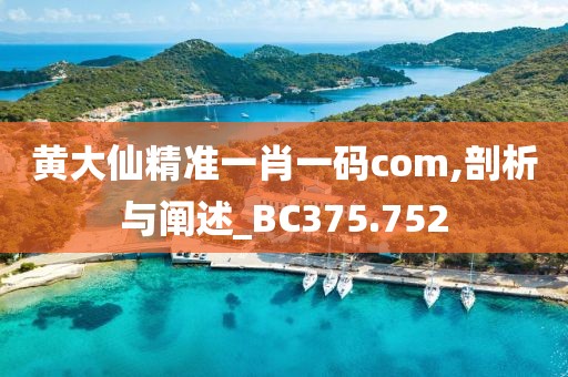 黄大仙精准一肖一码com,剖析与阐述_BC375.752