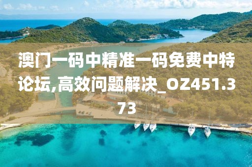 澳门一码中精准一码免费中特论坛,高效问题解决_OZ451.373