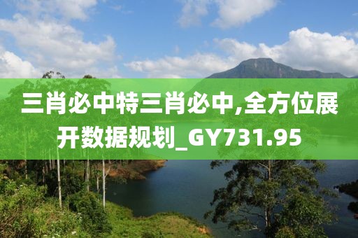 三肖必中特三肖必中,全方位展开数据规划_GY731.95