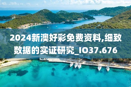 2024新澳好彩免费资料,细致数据的实证研究_IO37.676