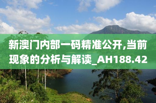 新澳门内部一码精准公开,当前现象的分析与解读_AH188.42