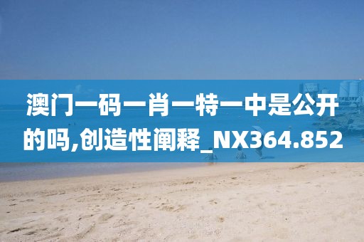 澳门一码一肖一特一中是公开的吗,创造性阐释_NX364.852