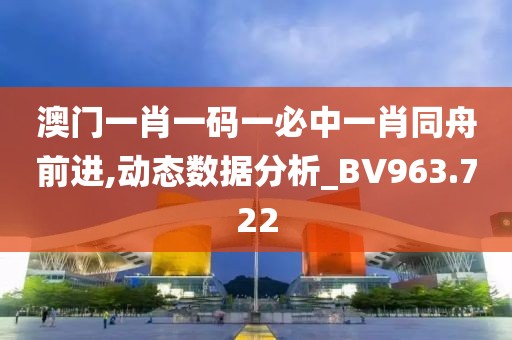 澳门一肖一码一必中一肖同舟前进,动态数据分析_BV963.722