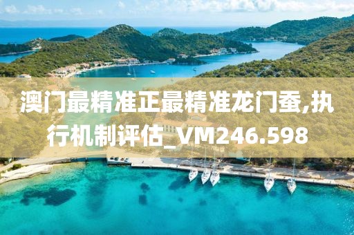 澳门最精准正最精准龙门蚕,执行机制评估_VM246.598