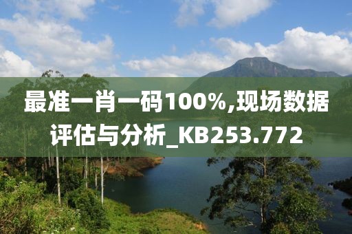 最准一肖一码100%,现场数据评估与分析_KB253.772