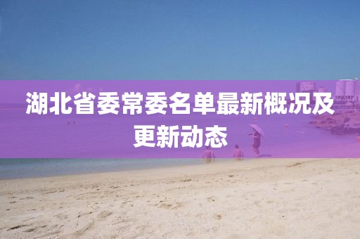 湖北省委常委名单最新概况及更新动态