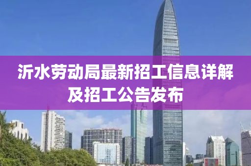 沂水劳动局最新招工信息详解及招工公告发布