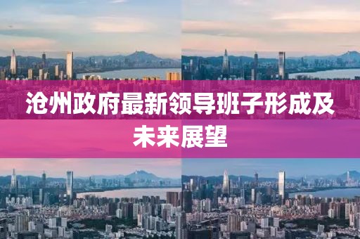 沧州政府最新领导班子形成及未来展望