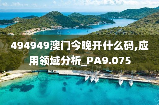 494949澳门今晚开什么码,应用领域分析_PA9.075