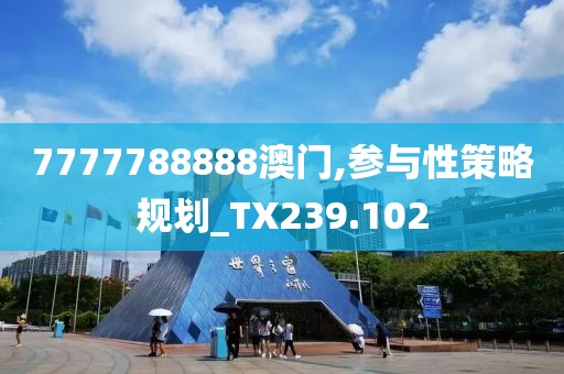 7777788888澳门,参与性策略规划_TX239.102