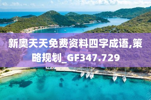 新奥天天免费资料四字成语,策略规划_GF347.729
