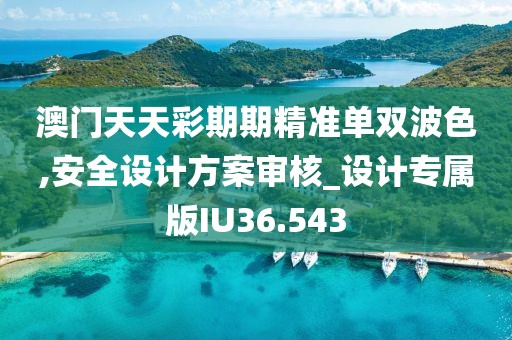 澳门天天彩期期精准单双波色,安全设计方案审核_设计专属版IU36.543