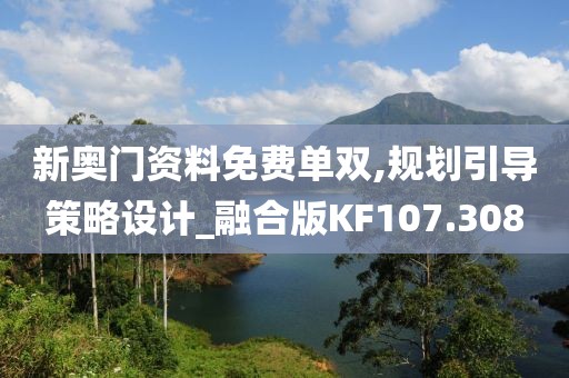 新奥门资料免费单双,规划引导策略设计_融合版KF107.308