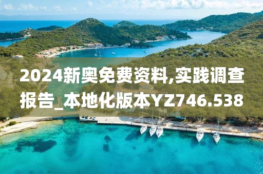 2024新奥免费资料,实践调查报告_本地化版本YZ746.538