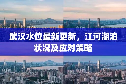 武汉水位最新更新，江河湖泊状况及应对策略