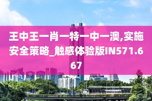 王中王一肖一特一中一澳,实施安全策略_触感体验版IN571.667