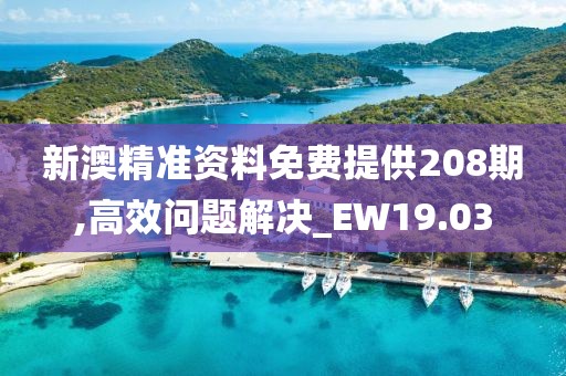 新澳精准资料免费提供208期,高效问题解决_EW19.03