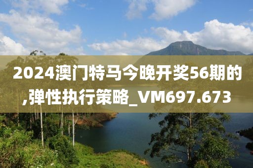 2024澳门特马今晚开奖56期的,弹性执行策略_VM697.673