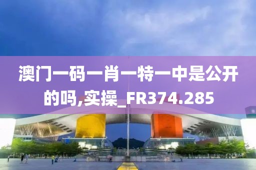 澳门一码一肖一特一中是公开的吗,实操_FR374.285