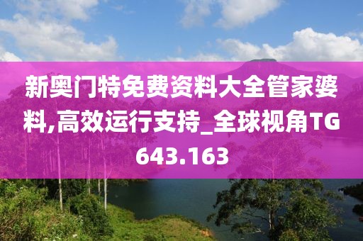 新奥门特免费资料大全管家婆料,高效运行支持_全球视角TG643.163