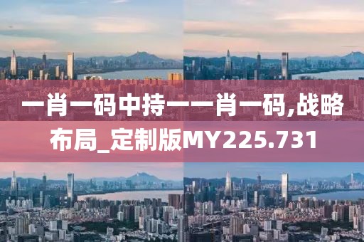 一肖一码中持一一肖一码,战略布局_定制版MY225.731