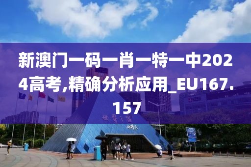 新澳门一码一肖一特一中2024高考,精确分析应用_EU167.157