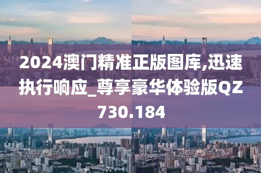 2024澳门精准正版图库,迅速执行响应_尊享豪华体验版QZ730.184