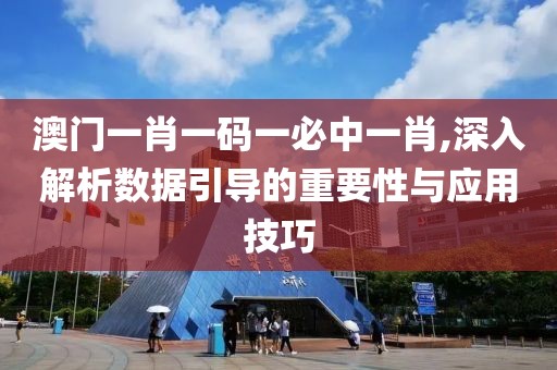 澳门一肖一码一必中一肖,深入解析数据引导的重要性与应用技巧